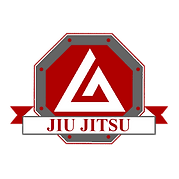 jiu jitsu icon