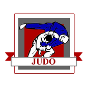 judo icon